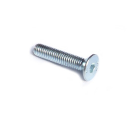 Clutch screw - Allen head 8.8 - M6 x 30 zinc plated 