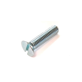 Clutch screw - slotted head M6 x 30 zinc plated