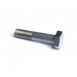 Hex head screw M10 x 1 x 48, lower side front shock - SSt