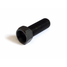 Screw valve adjuster, without nut