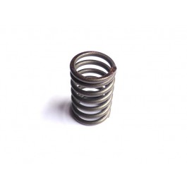 Valve spring inner