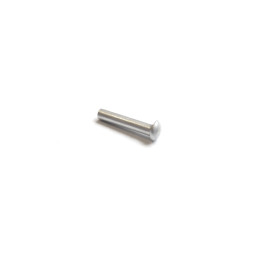 Aluminum rivet (shaft = 2 X 10 mm)