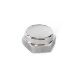 Cap nut for swing arm bolt - polished SSt