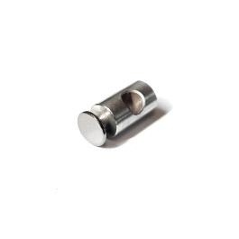 Joint bolt for brake lever - SSt, polished head