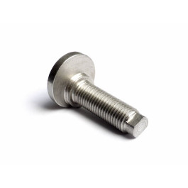 Eccentric adjusting bolt