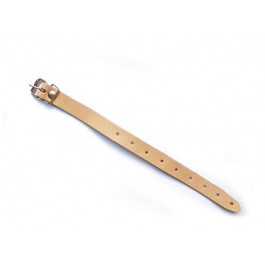 Leather strap & buckle for eye pin