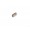 Allen screw M5 X 10 for ingnition switch plate - SSt