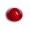 Red lens with Steib script